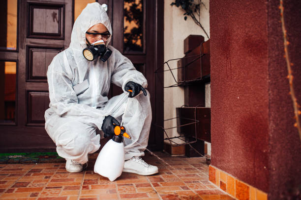 Reliable Cockroach Control contractor in Sunny Isles Beach, FL by Nex Pest Control