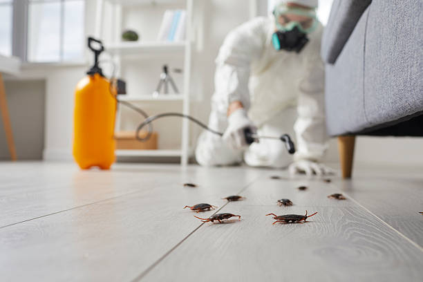 Trusted Fumigation Services service in Sunny Isles Beach, FL - Nex Pest Control